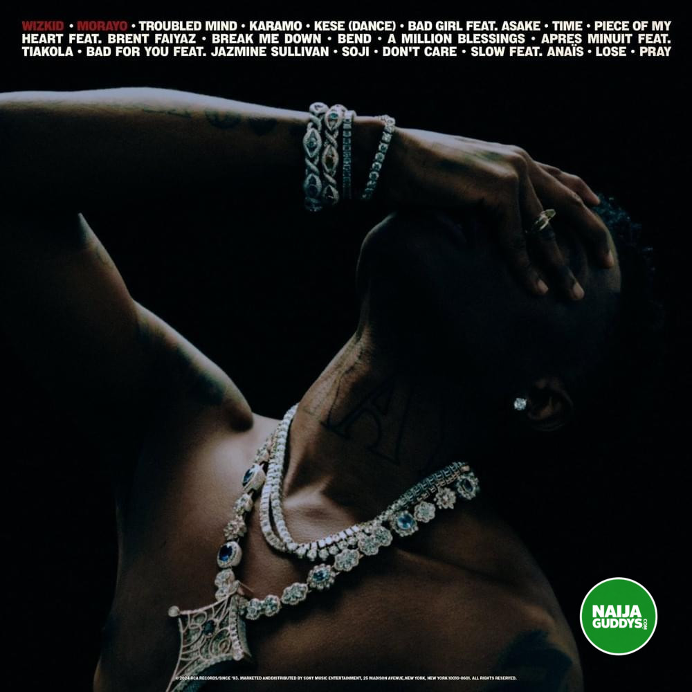 Nigeria’s Biggest First-Day Spotify Debuts: Full Top Albums and EPs Ranking